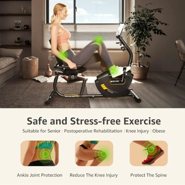 Recumbent Exercise Bike | Magnetic Indoor Fitness Bike