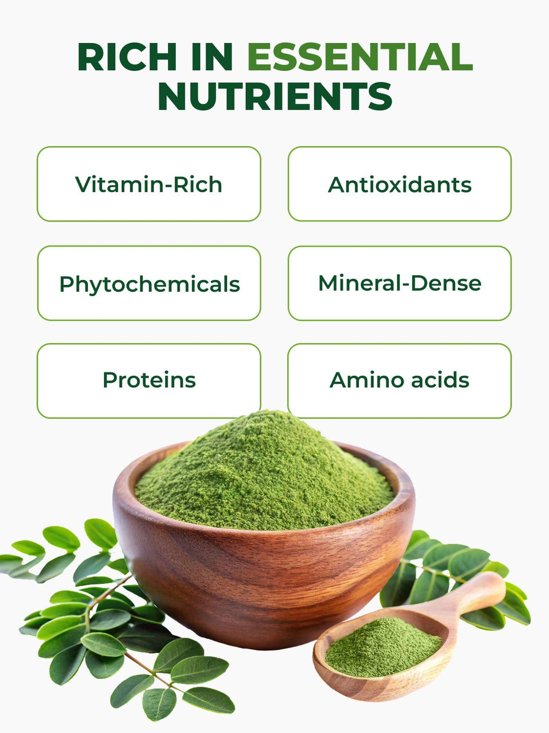 USDA Organic Moringa Leaf Powder (8 oz)